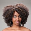(image for) Ariana Afro Kinky Wig